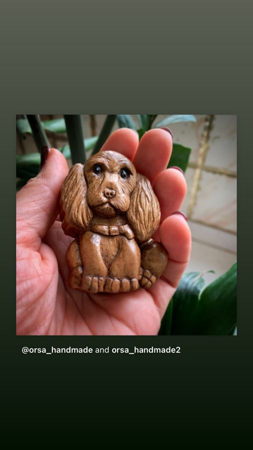 Spaniel Pup